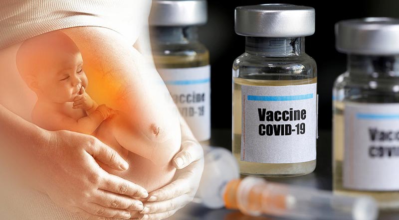Tiến sĩ Alan Moy phát hiện: Vaccine thử nghiệm nói trên được sản xuất từ tế bào thai nhi bị vứt bỏ.