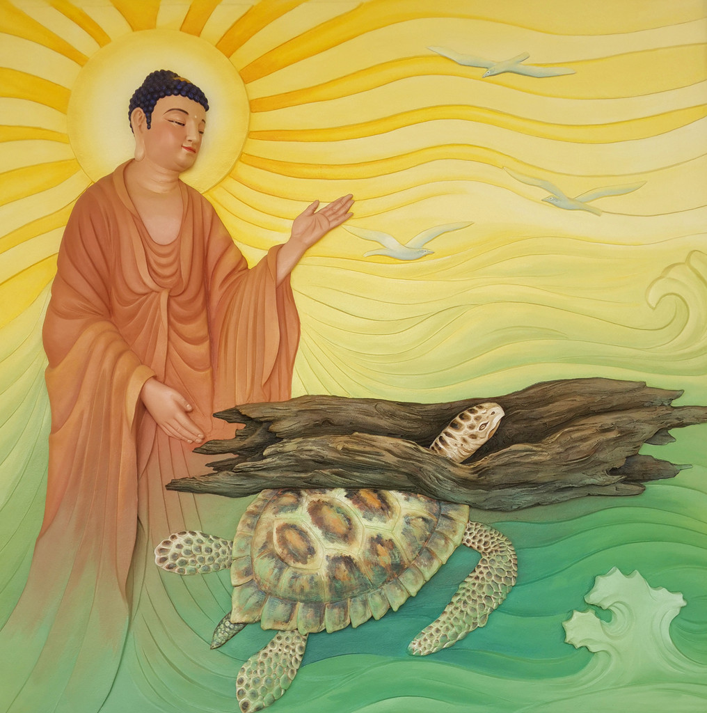 Đức Phật kể câu chuyện về con rùa mù