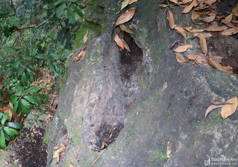 Bí ẩn những vết chân trên đá: Người khổng lồ từng sống tại Việt Nam?