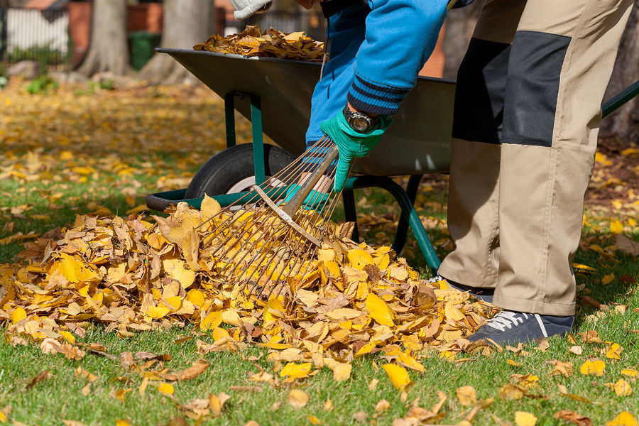 Tips to Keep Your Yard Look Clean and Clutter-Free