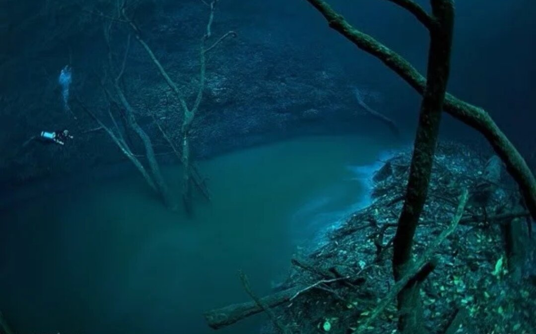 В Чёрном море была обнаружена единственная "подводная" река. Очень красиво!  | Всемирная История | Яндекс Дзен